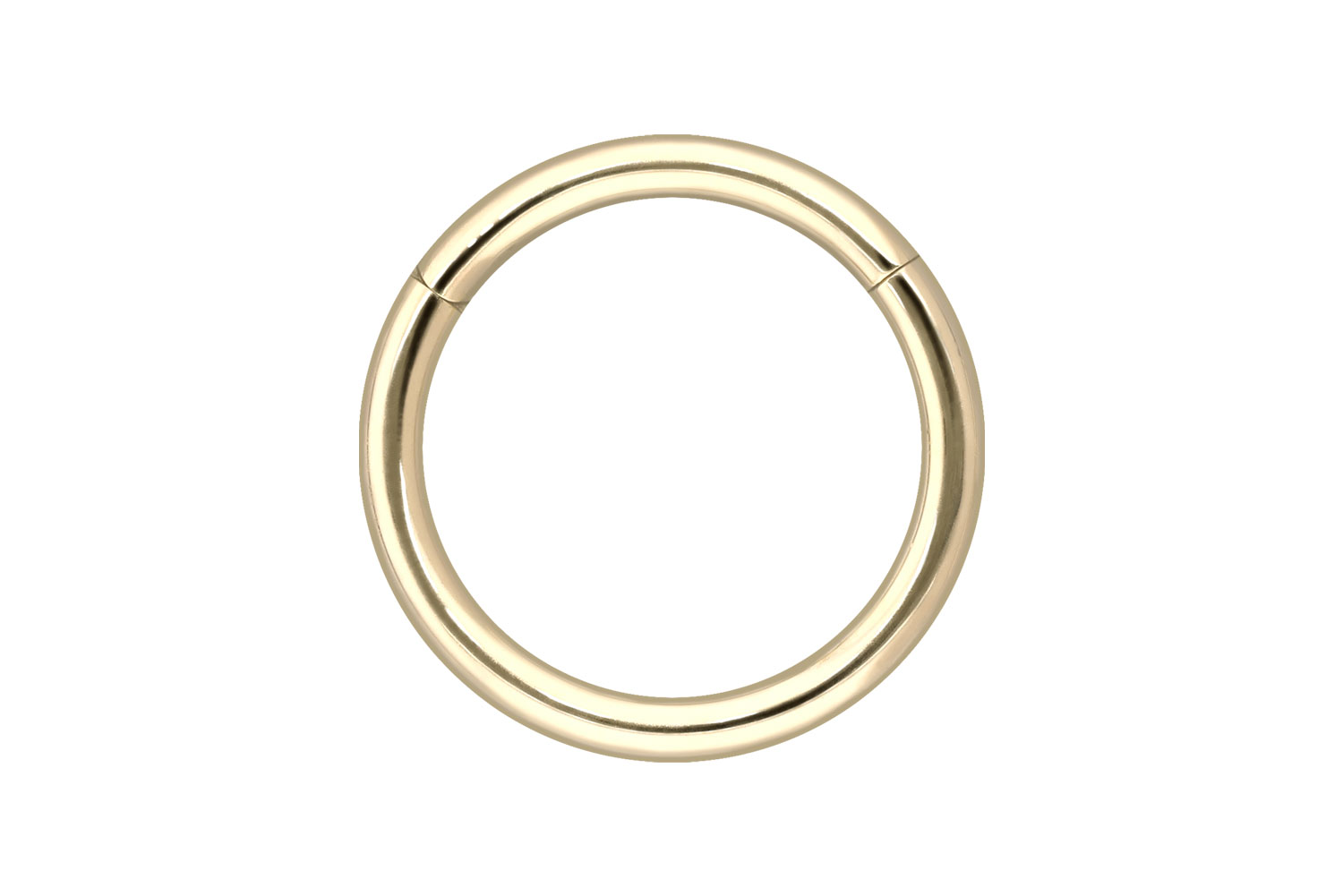14/18 Karat Gold Segmentring Clicker Piercing